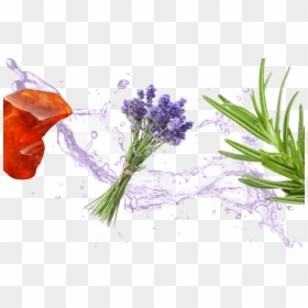 High Resolution Water Splash Png, Transparent Png - lavender png
