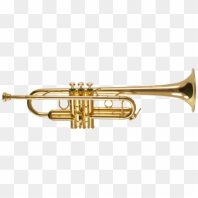 Transparent Background Trumpet Png, Png Download - trumpet png