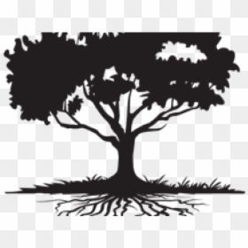 Family Reunion Tree Png, Transparent Png - roots png