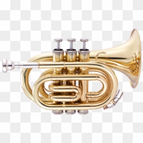 Pocket Trumpet, HD Png Download - trumpet png
