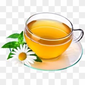 Green Tea Cup Png, Transparent Png - tea png