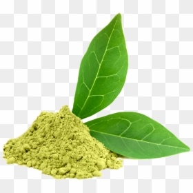 Green Tea Powder Png, Transparent Png - tea png