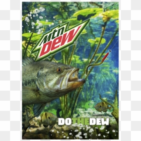 Mt Dew Fishing Boat, HD Png Download - mountain dew png