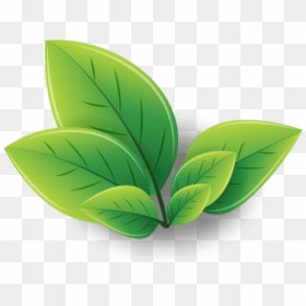 Logo Green Tea Leaves, HD Png Download - tea png