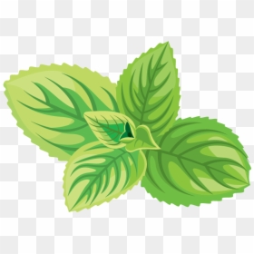 Herb Icon, HD Png Download - tea png