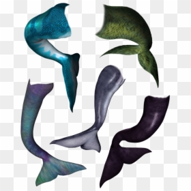 Dolphin Mermaid Tail, HD Png Download - mermaid tail png