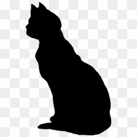 Black Cat Clipart Transparent Background, HD Png Download - scratches png