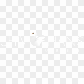 Shiv Hans Logo, HD Png Download - shiv png