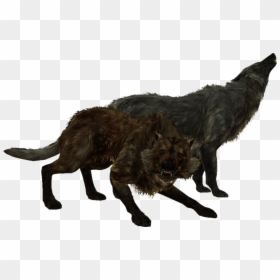 Skyrim Wolf, HD Png Download - skyrim png