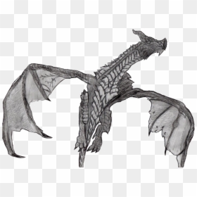 Skyrim Dragons To Draw Easy, HD Png Download - skyrim png