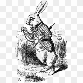 Alice In Wonderland Lewis Carroll White Rabbit, HD Png Download - alice in wonderland png