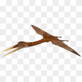 The Isle Wikia, HD Png Download - quetzal png