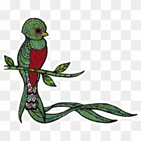 Quetzal Png, Transparent Png - quetzal png