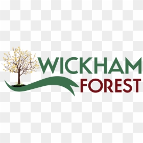 Wickham Forest Homeowners Association - South River Restoration, HD Png Download - pile of trash png