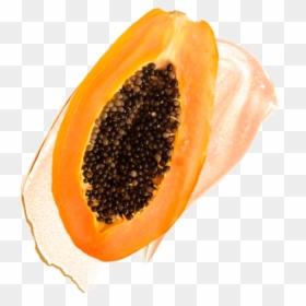 Transparent Papaya Png - Papaya, Png Download - slider png