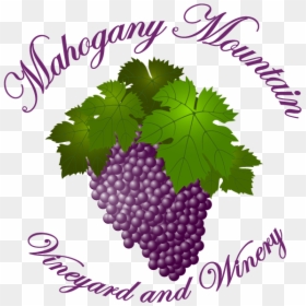 Mahogany Mountain Vineyard And Winery - Mahogany Mountain Vineyard, HD Png Download - vineyard png