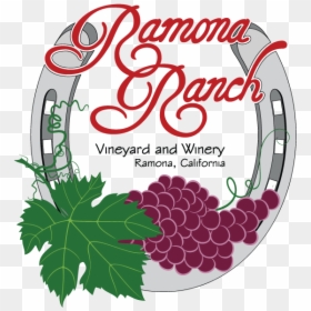 Ramona Ranch - Illustration, HD Png Download - vineyard png
