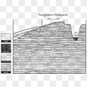 Estate Ferguson Vineyard Illustration - Line Art, HD Png Download - vineyard png