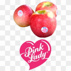 Cripps Pink, HD Png Download - made in america png