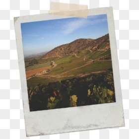 Picture Frame, HD Png Download - vineyard png