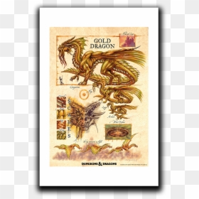 Dnd Gold Dragon Size, HD Png Download - gold dragon png