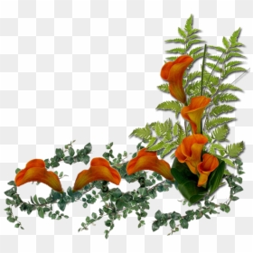 Transparent Ramos De Flores Png - Orange Flowers, Png Download - imagens em png