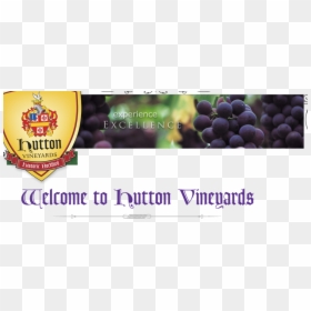 Header - Grape, HD Png Download - vineyard png