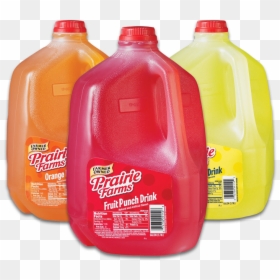 Prairie Farms Fruit Punch , Png Download - Prairie Farms Fruit Punch, Transparent Png - fruit punch png