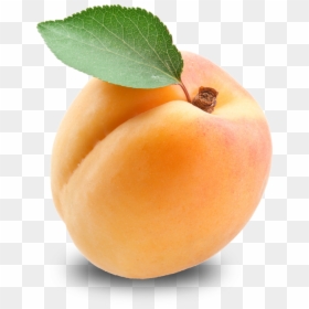 Download Apricot Free Download Png - Apricot Png, Transparent Png - bien png
