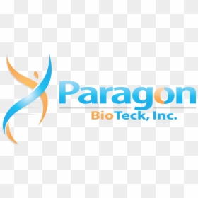 Geo Tech Polymers, HD Png Download - paragon logo png
