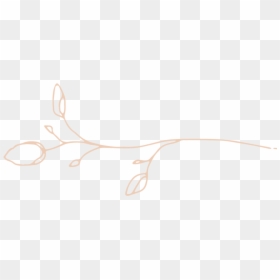 Pink Graphic Right Two, HD Png Download - two png