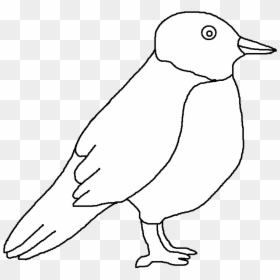 Transparent Quail Clipart - Adã©lie Penguin, HD Png Download - quail png