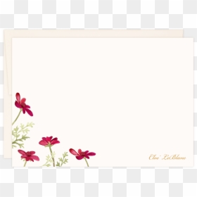 Chocolote Cosmos, HD Png Download - cosmos png