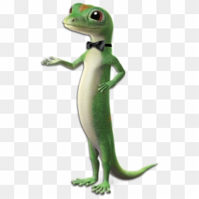 Transparent Geico Lizard Png - Geico Bow Tie, Png Download - geico png