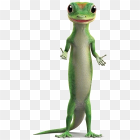 Clip Art Geico Gecko Png - Geico Gecko Png, Transparent Png - geico png