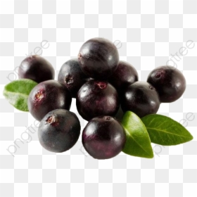 Transparent Black Acai Palm Fruit Png Format Image - Acai Berry Png Transparent, Png Download - acai png