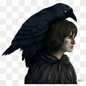 Bran Stark Png Transparent Image - Бран Старк И Ворон, Png Download - stark png