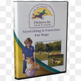 Stretching Png, Transparent Png - stretching png