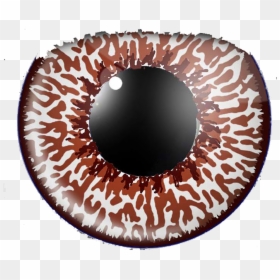 Transparent Eye Of Sauron Png - Contact Lens, Png Download - sauron png