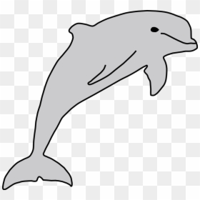 Clip Art Download Cliparts - Delfin Clipart, HD Png Download - pez png