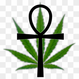 Marijuana Leaf Clipart , Png Download - Help End Marijuana Prohibition Hemp Party, Transparent Png - weed icon png