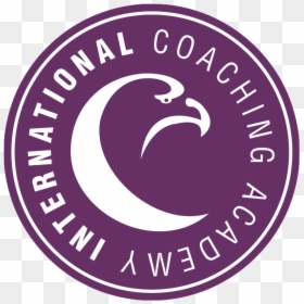 International Coaching Academy, HD Png Download - guile png