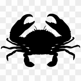 Giant Mud Crab Chesapeake Blue Crab Red King Crab - Mud Crab Clipart, HD Png Download - crabs png