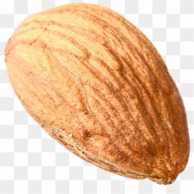 Nut,almond,plant,nuts & Seeds,beige - No Nut November Coupon, HD Png Download - single png