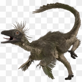 Transparent Raptor Dinosaur Clipart - Troodon Walking With Dinosaurs, HD Png Download - indominus rex png