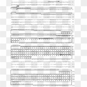 Document, HD Png Download - ki blast png