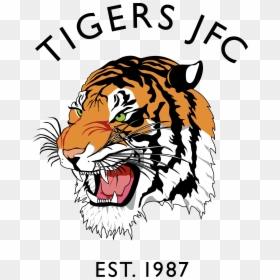 Tigers Jfc, HD Png Download - tiger stripe png
