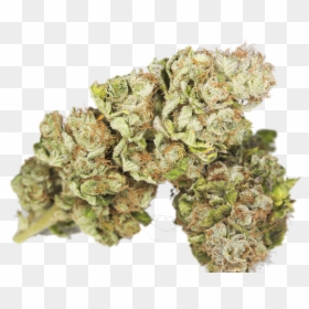 Bruce-banner3 - Purple Bruce Banner Weed, HD Png Download - bruce banner png