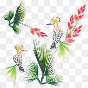 Illustration, HD Png Download - bird of paradise png