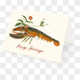 Holiday Lobster Holiday Card Boxed Set - Gulf Fritillary, HD Png Download - holiday card png